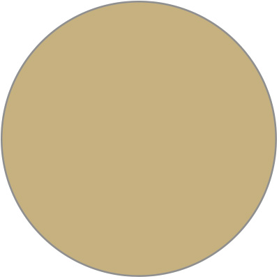 Shitake Mounting Card